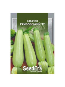 Насіння Кабачок 20г Грибовський 37 SeedEra