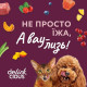 Ласощі Delickcious для котів крем-снек курка з додаванням сиру та спаржі 4х15г