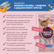 Ласощі Delickcious для котів крем-снек сардина з гарбузом 4х15г