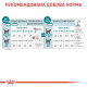 Сухий корм Royal Canin Ageing 11+ літніх котів віком від 11 років 2 кг