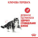 Сухой корм Royal Canin Urinary Care для поддержания здоровья мочевыводящих путей 2 кг