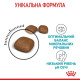 Сухой корм Royal Canin Urinary Care для поддержания здоровья мочевыводящих путей 2 кг